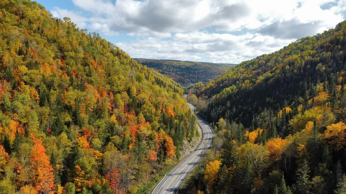 Forested winding road New Brunswick autumn