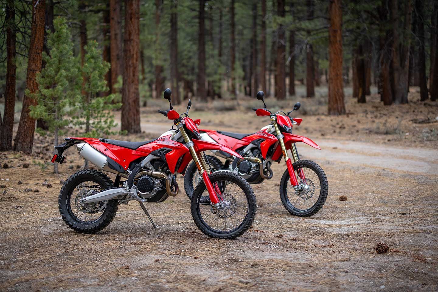2027 Ducati Desmo450 EDS enduro motorcycle in Ducati red showing the desmodromic single-cylinder engine and LED lighting