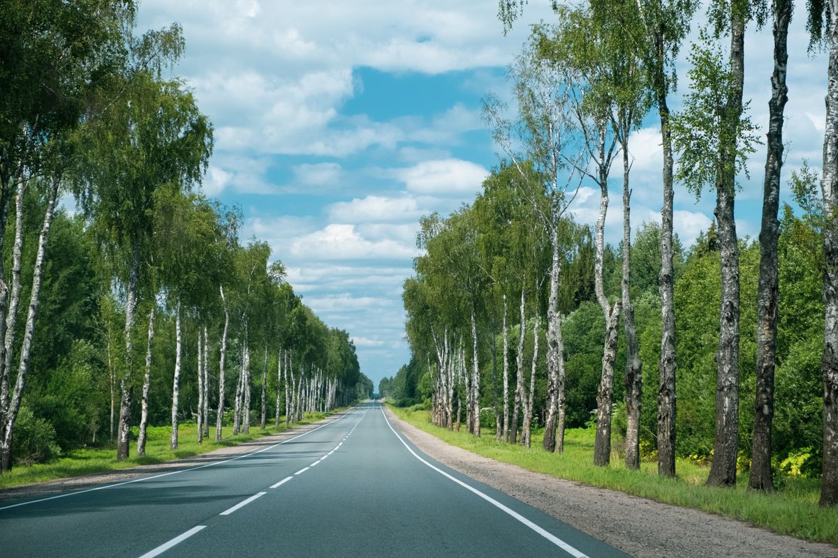 Quiet forest highway in Nova Scotia perfect for motorcycle touring