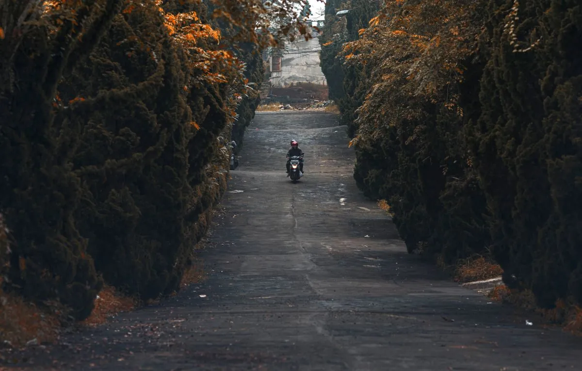 Motorcyclist riding solo on a tree-lined road